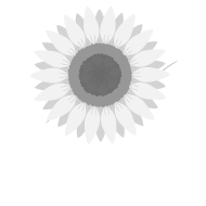 有料老人ホーム ひまわり